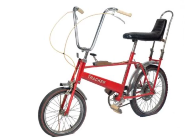 bici-diana.jpg