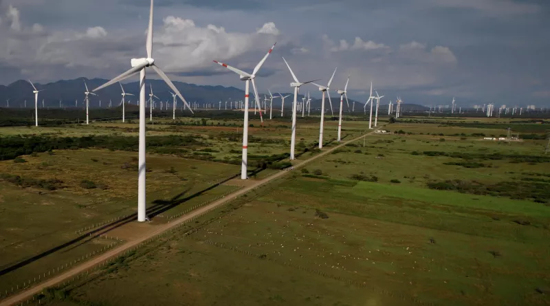Vista de una planta eólica de Enel 
