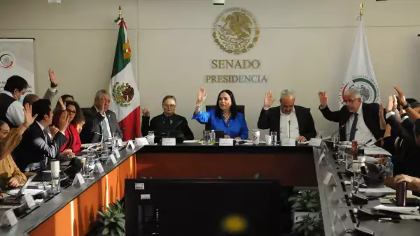 senado-plan-b-electoral