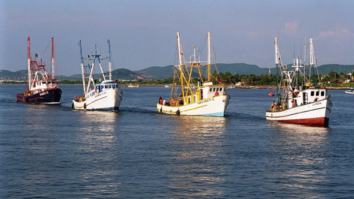 Barcos de pescadores mexicanos