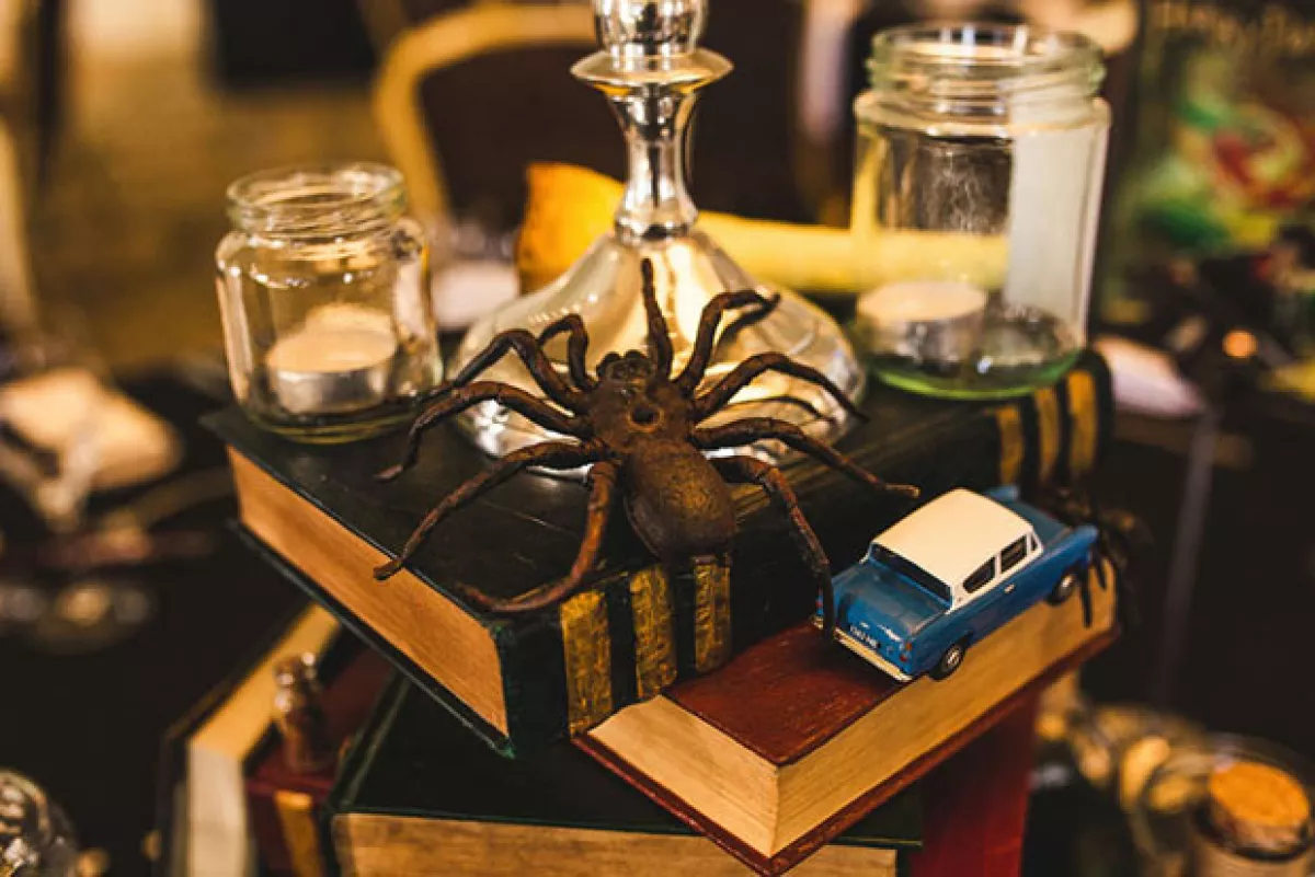 La decoración estuvo basada tanto en los libros como en las películas.