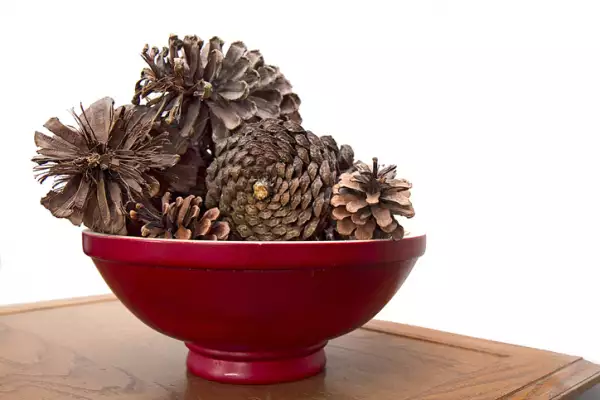 Red Wooden Bowl filled with Pinecones