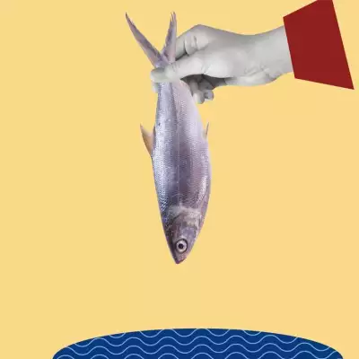 Foto collage de una mano sosteniendo un pescado 