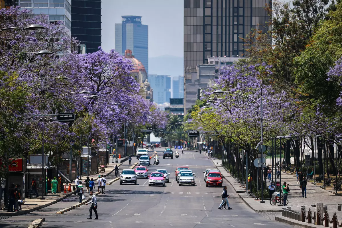 pib mexico primer trimestre