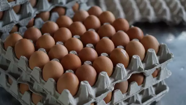 bachoco desliste BMV