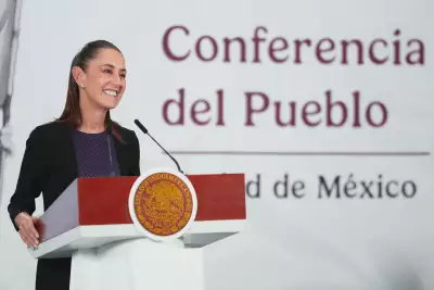 sheinbaum calendario escolar.jpeg