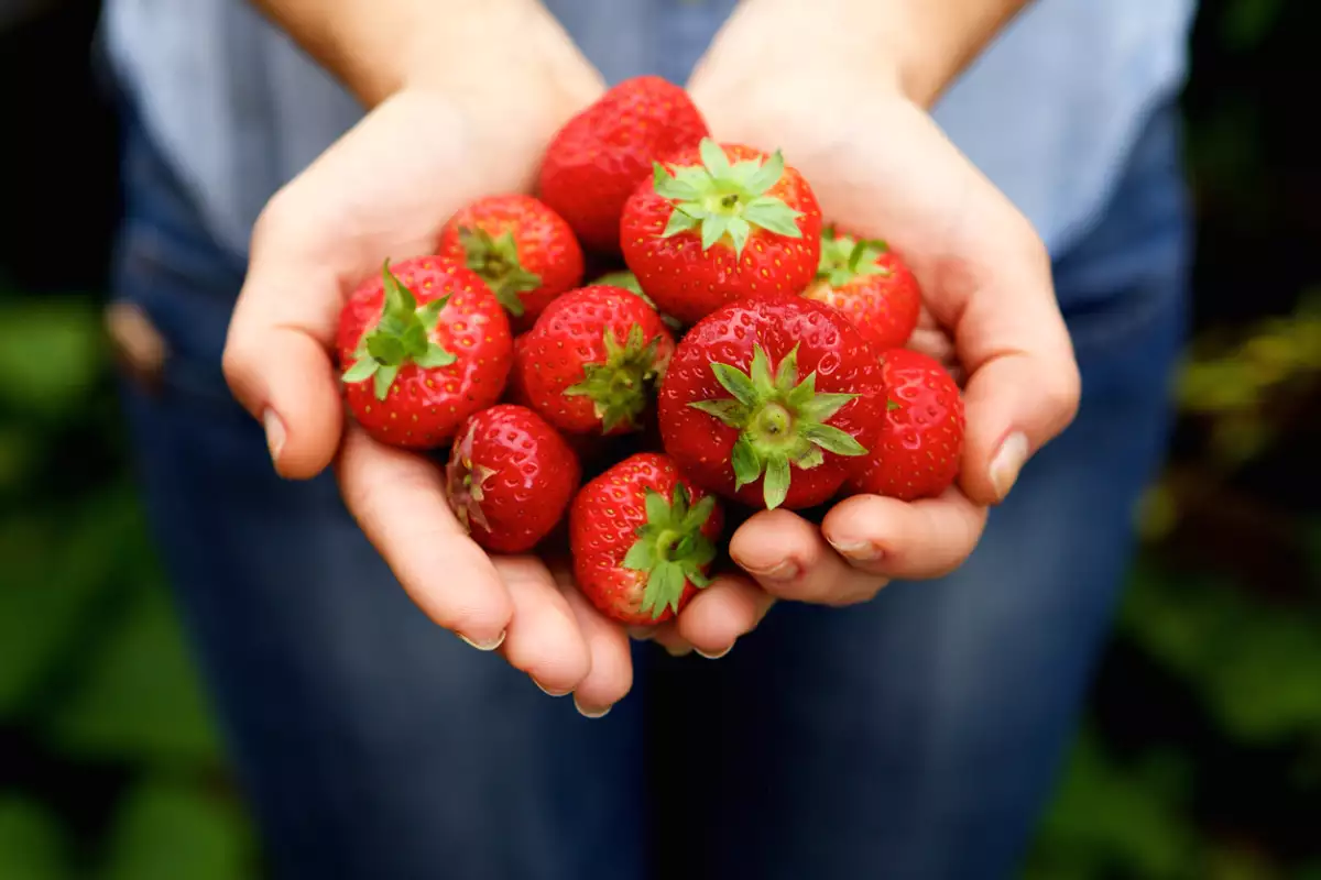 ¿Cuántos pesticidas?