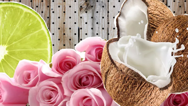 Sigue leyendo para descubrir cuáles son