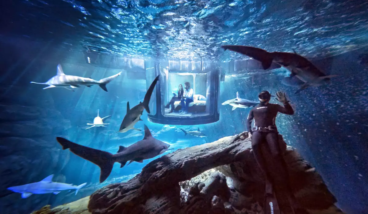 La habitación está en un tanque dentro del Acuario de París.
