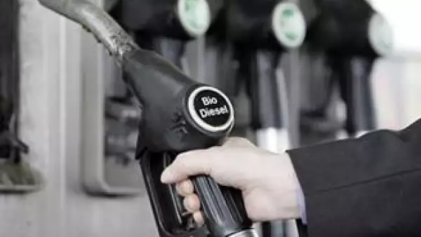 biodiesel