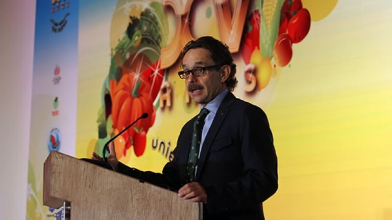 quadri foro alimentario