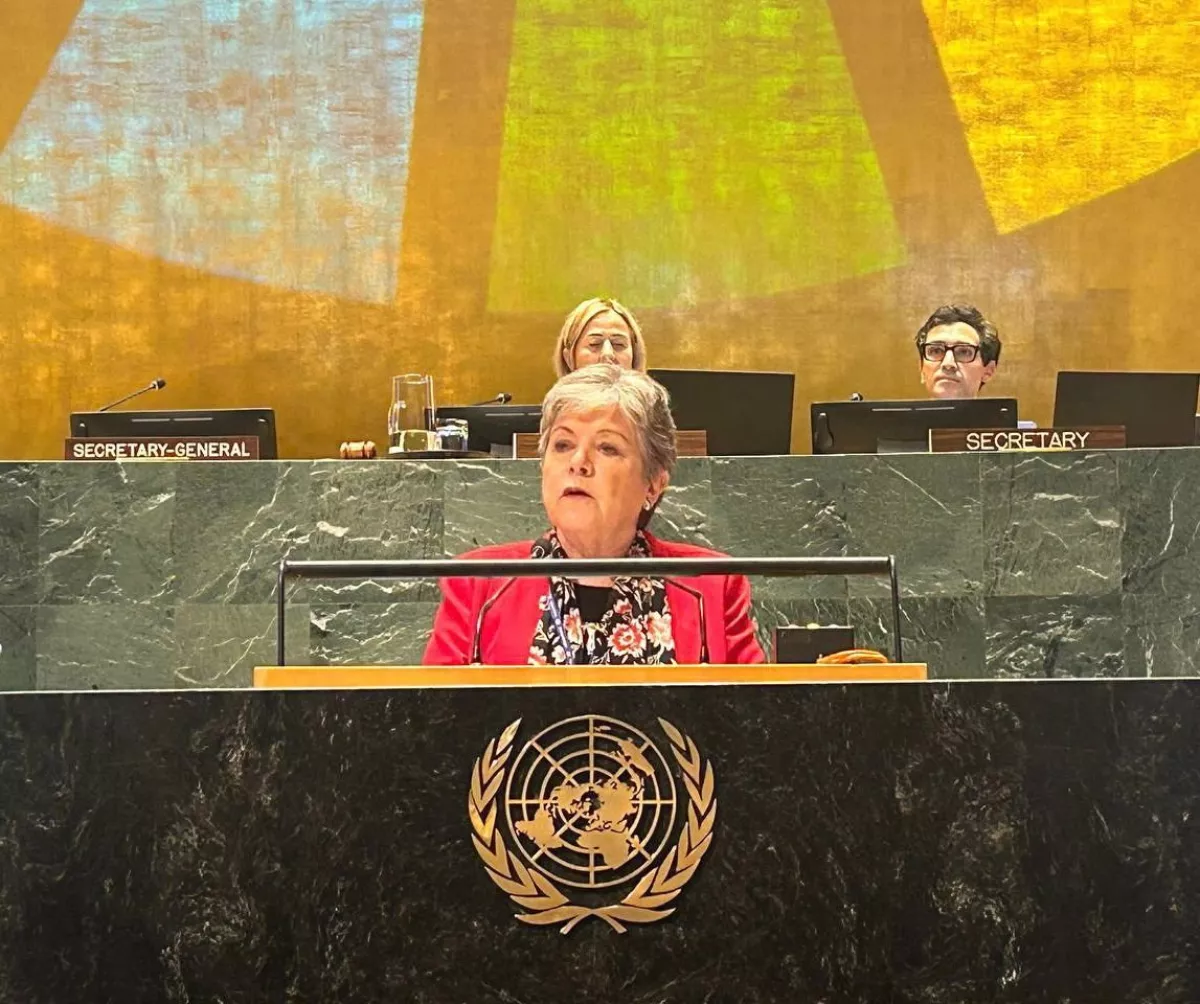barcena-onu.jpeg