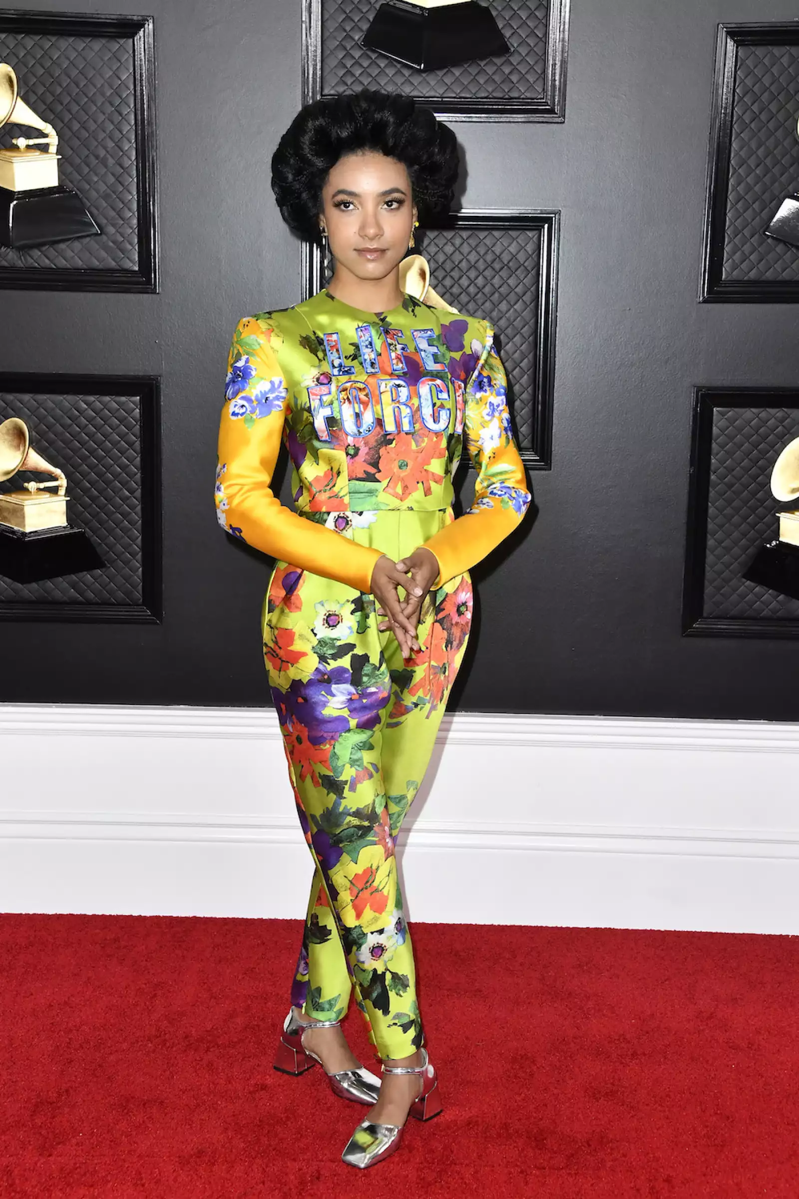 62nd Annual GRAMMY Awards ‚Äì Arrivals