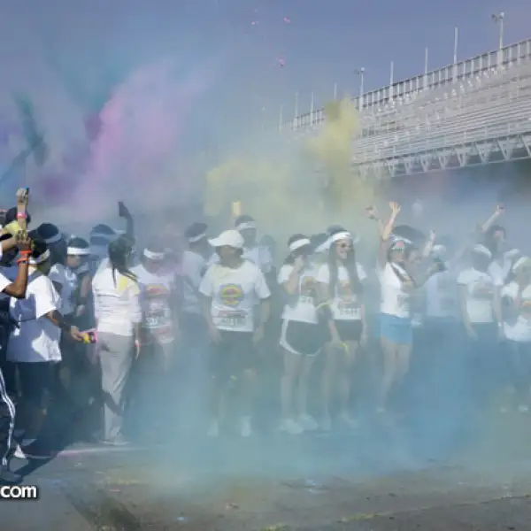 Carrera The Color Experience