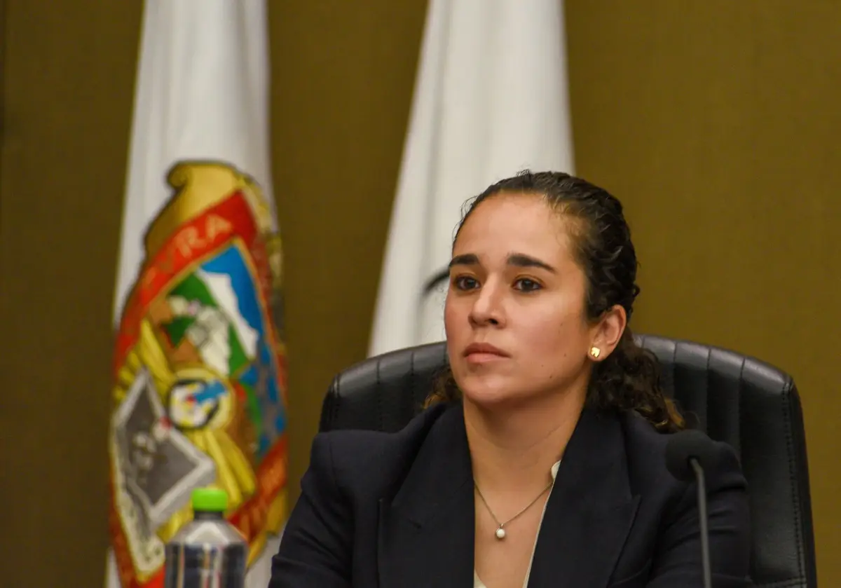 Amalia Pulido Gómez 