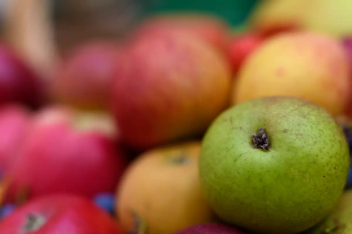 EU envía más de 303,100 toneladas de manzanas cada año a México.