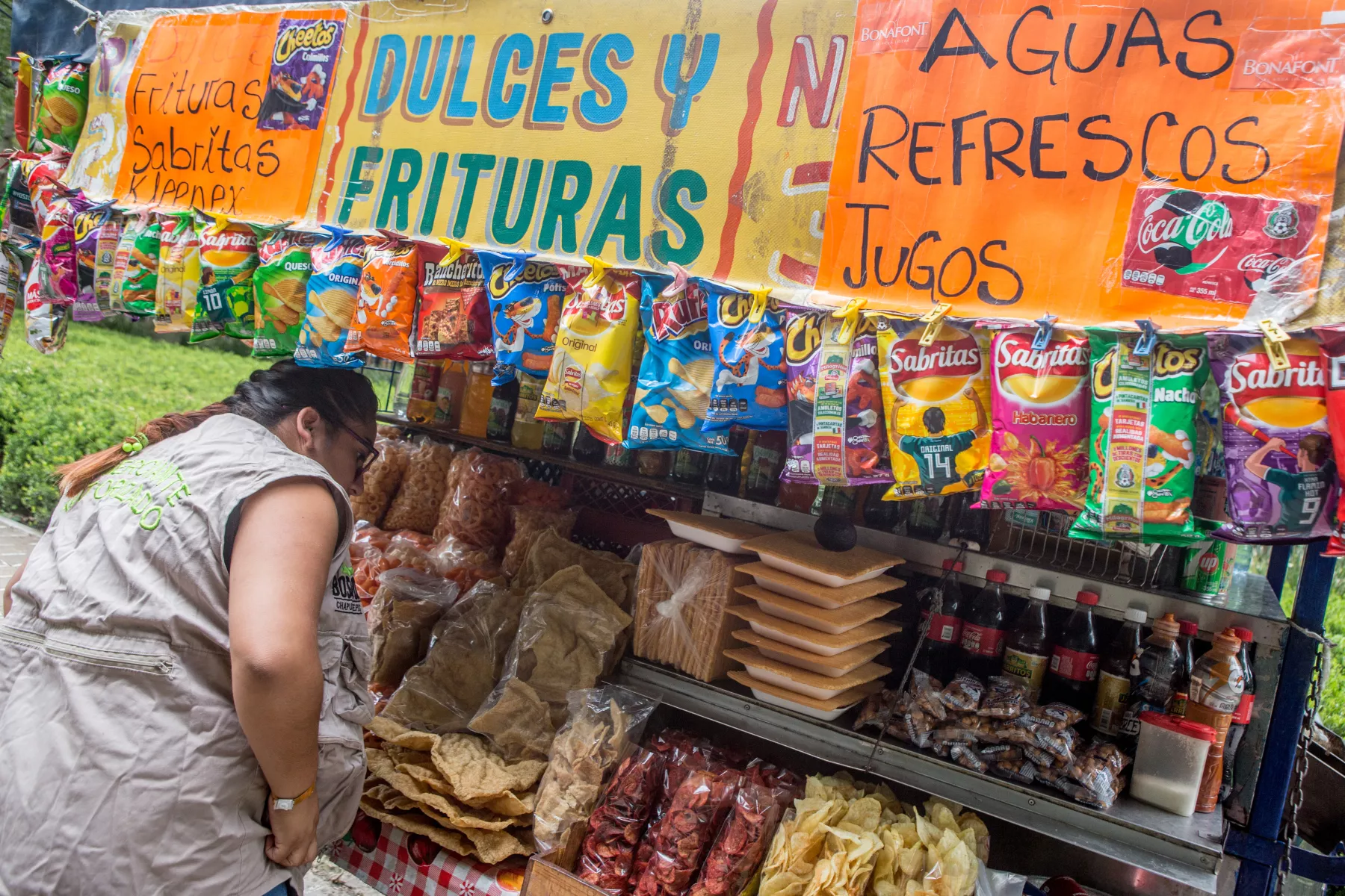 alimentos ultraprocesados 