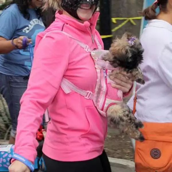 Sexy Star con Dulcinea