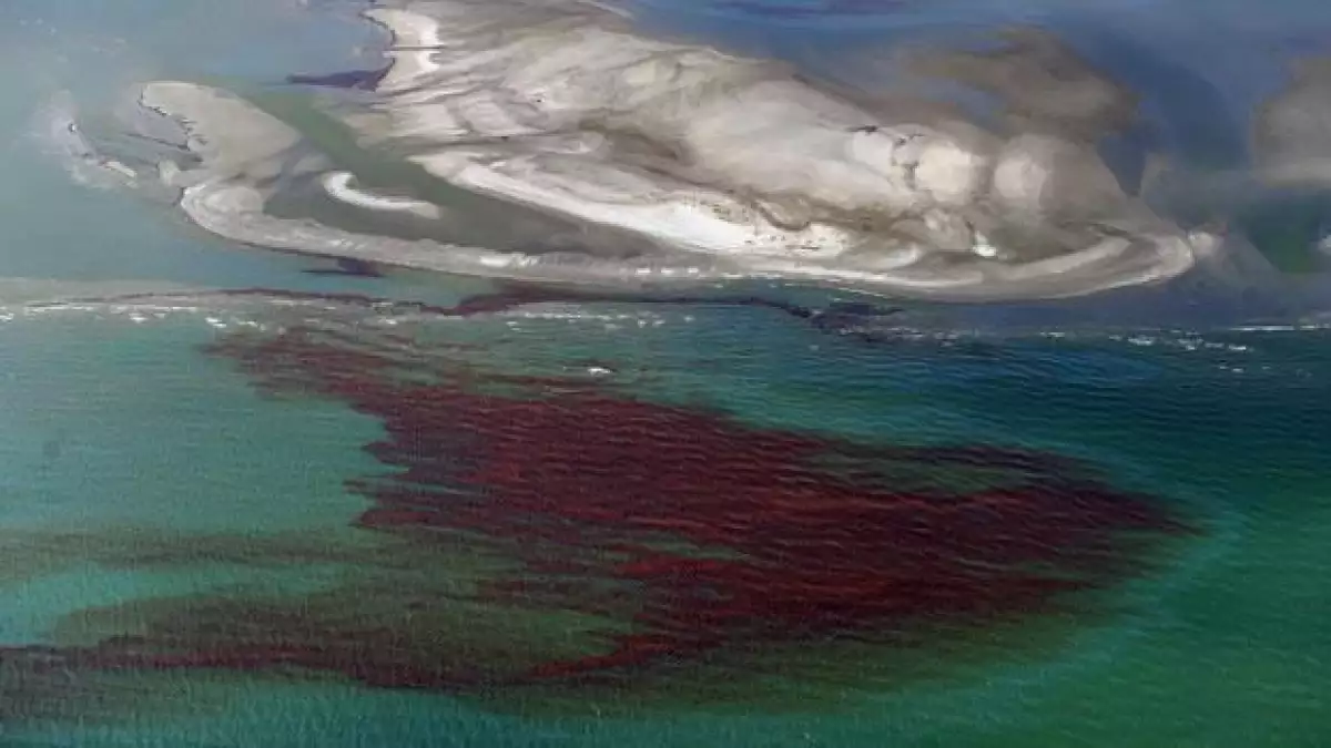 mancha de derrame en el golfo de mexico