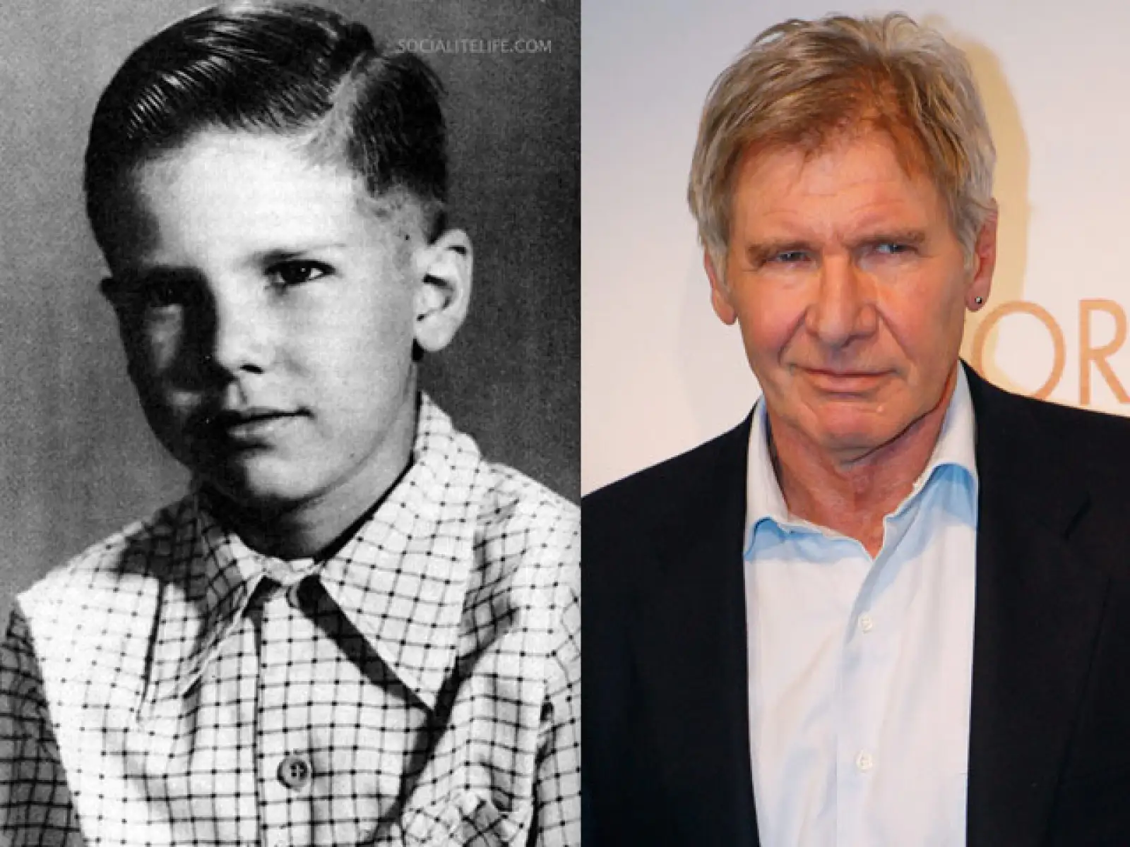 Harrison Ford, actor.