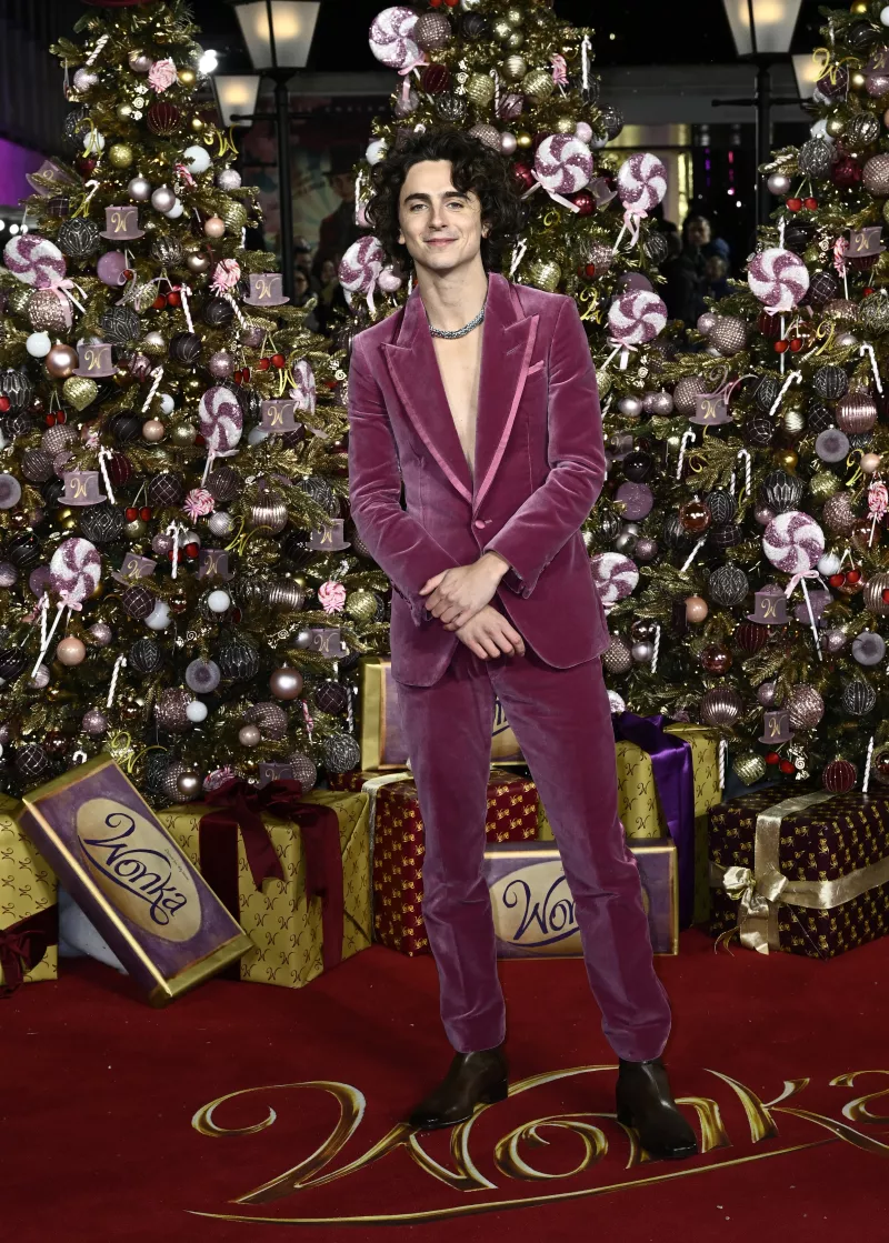 "Wonka" World Premiere - VIP Arrivals