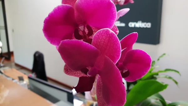 Las fotos del Galaxy S9