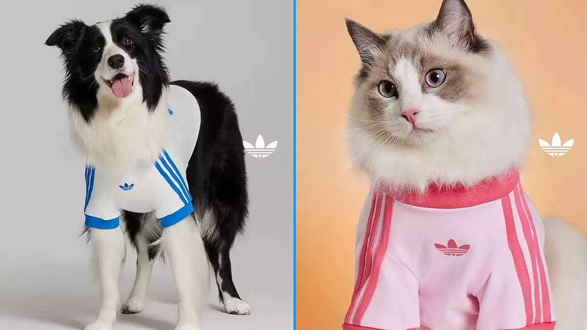 adidas-ropa-perrito