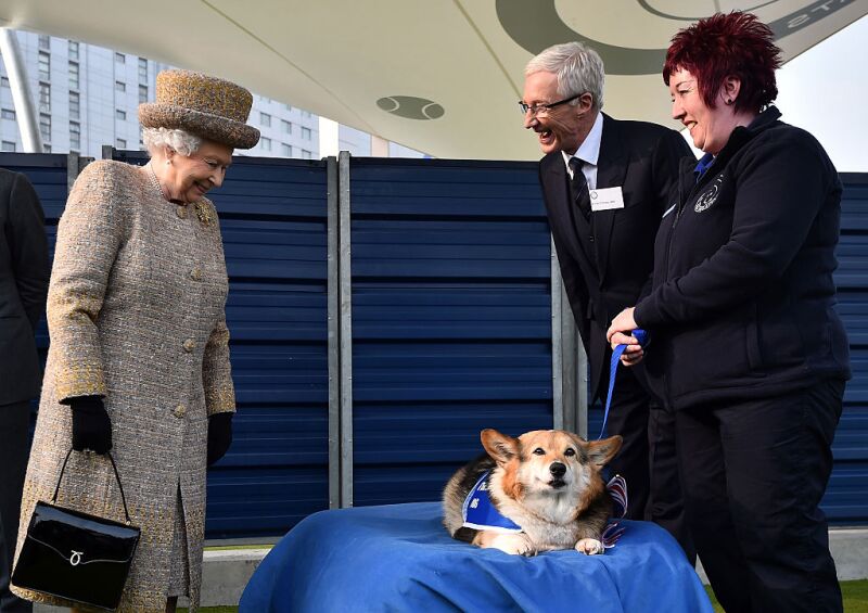 17 Datos Sobre Los Corgis De Isabel Ii Ahora Que Se Estrena La Pelicula