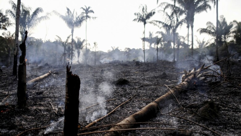 Incendio Amazonas-3