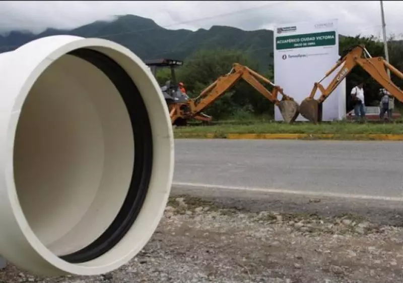 acuaf�rico de Tamaulipas