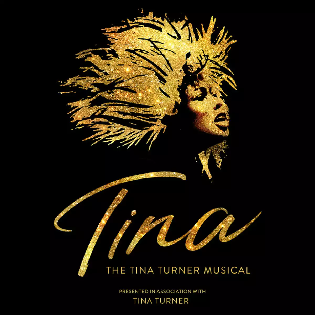 Tina The Musical
