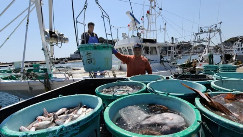 pescadores japoneses en un barco