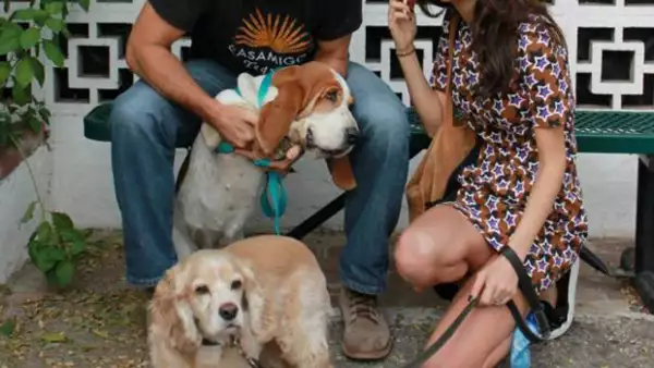 La popular pareja ha adoptado a esta encantadora basset hound, de nombre Millie, en un refugio de California.