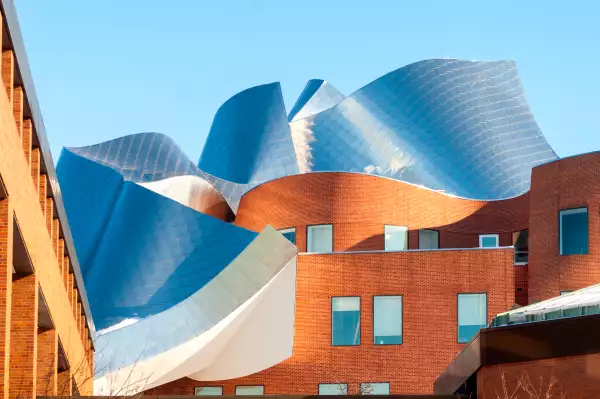 Gehry architecture
