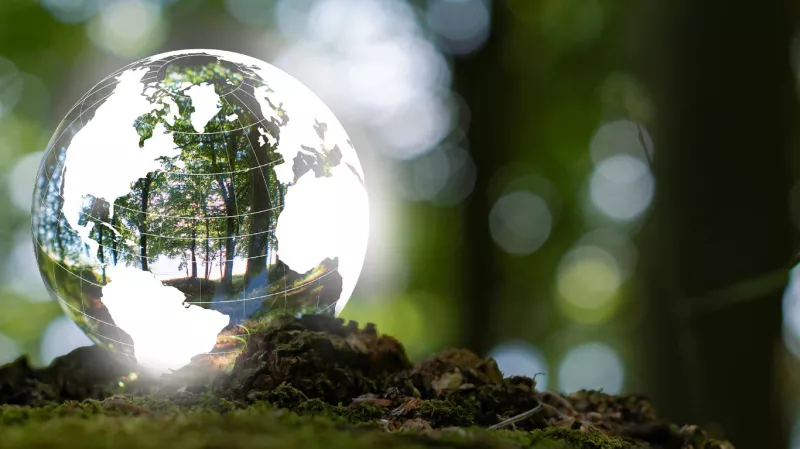 Biodiversidad, un desafío estratégico urgente para las empresas