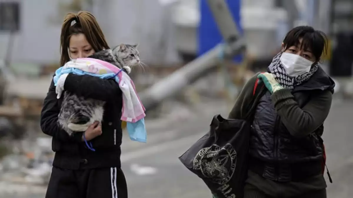 japon terremoto escombros