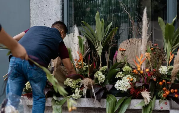 VANDALIZAR-CDMX-FLORES
