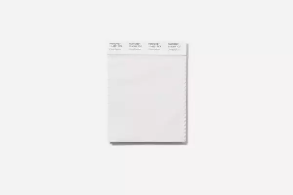 pantone-color-año-2026