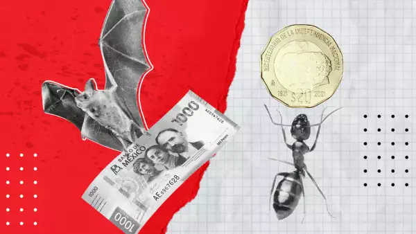 Detecta y evita que los gastos vampiro y los hormiga vacíen tu bolsillo