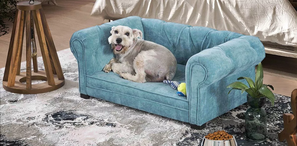 Las camas para lomitos tipo sofá son una gran opción.