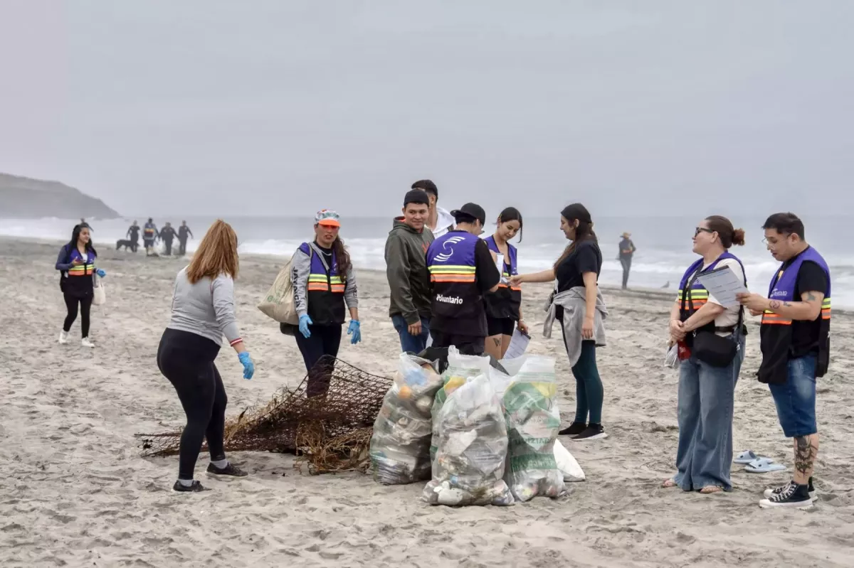 Limpieza de Playas 