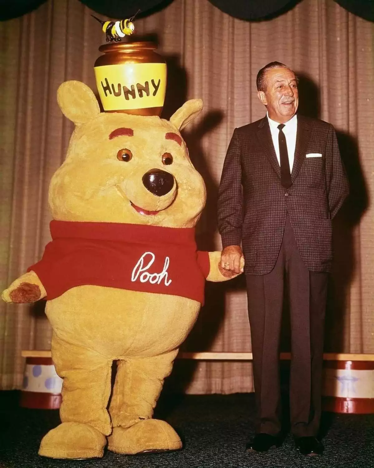 Winnie Pooh protagoniza película de terror