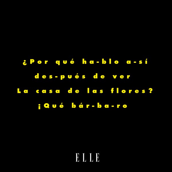 La-Casa-De-Las-Flores-Meme-ELLE-01