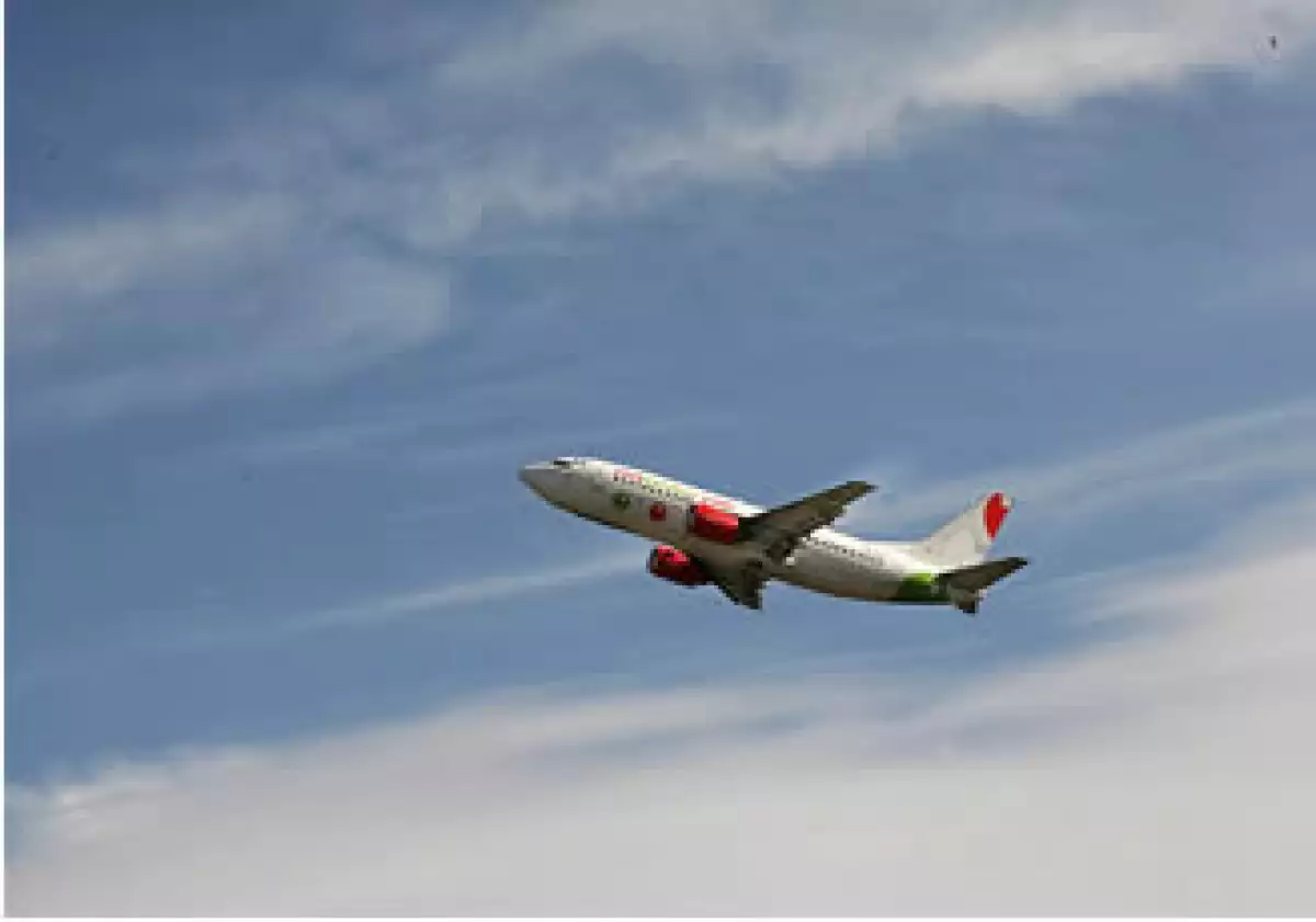 VivaAerobus volará alto (Foto: Cortesía)