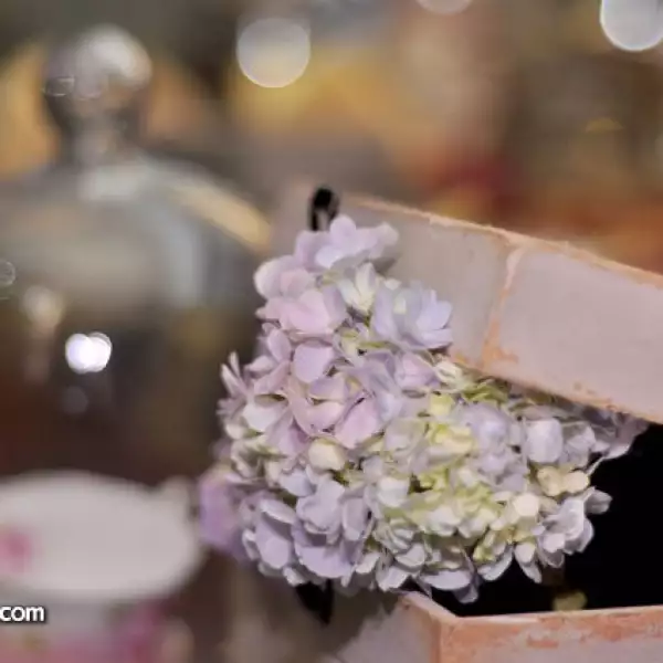 Decoración por Gaby Saldaña