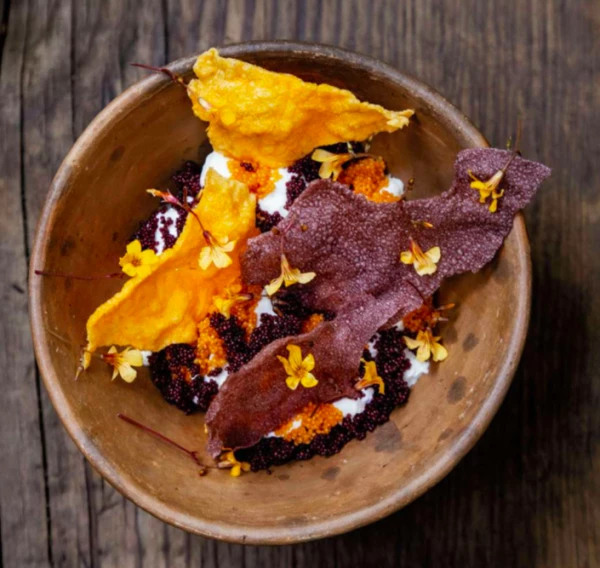 cocinera-sabia-pia-leon