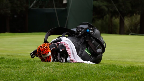 Tiger Woods