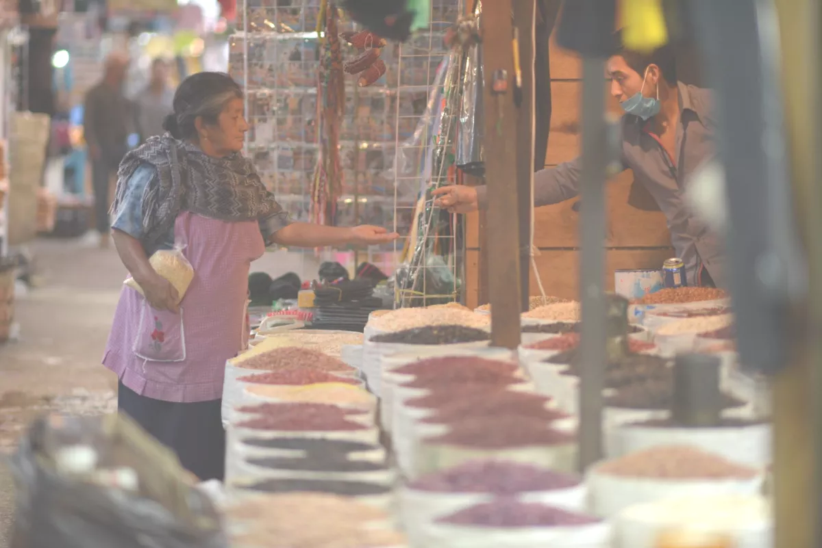 coneval pobreza covid-19