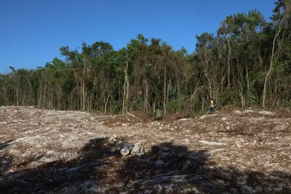 Tren Maya- Tramo 5