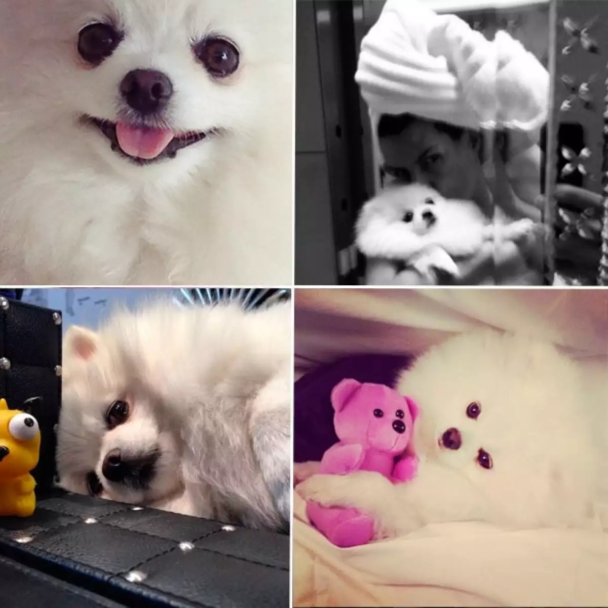 Brooke ha conquistado miles de corazones en redes sociales.